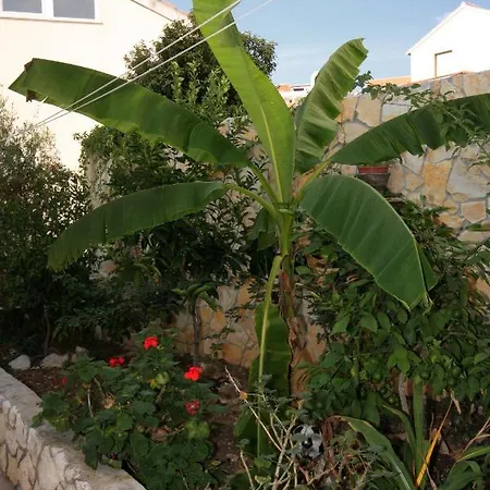 Apartment Studio Hvar 5706b *
